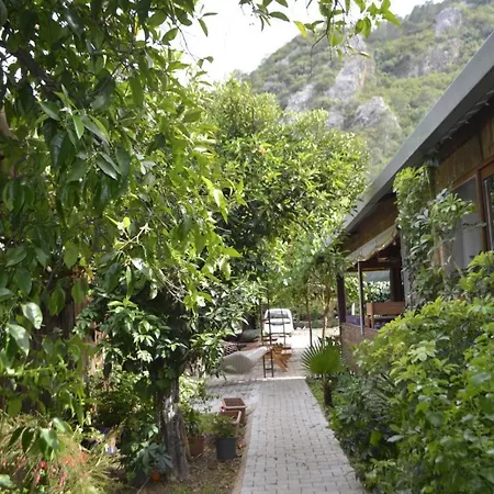 Homestay Mercan