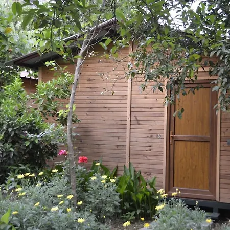 Mercan Homestay