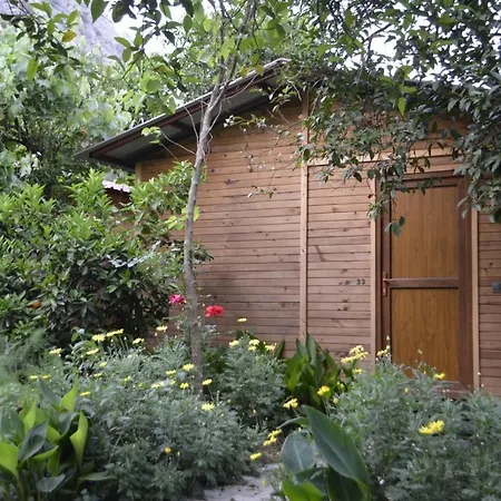 Mercan Homestay *