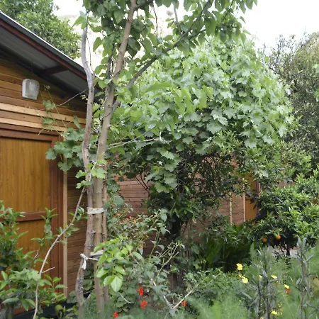Mercan Homestay Olympos