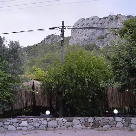 Mercan Olympos