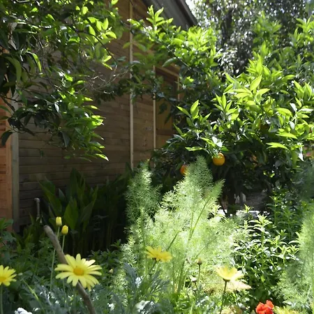 Mercan Homestay Olympos