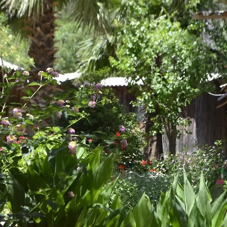 Mercan Homestay