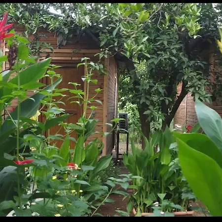 Homestay Mercan *