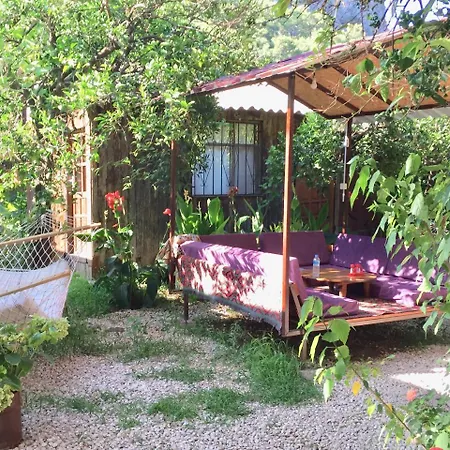 Mercan Homestay