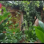 Gazde/Camere de închiriat Mercan *