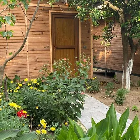 Mercan Quarto em Acomodações Particulares Olympos