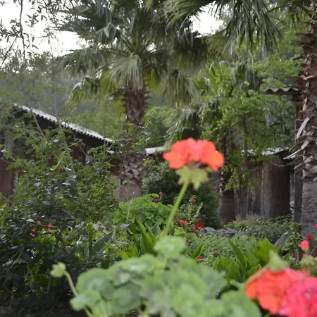 Mercan Quarto em Acomodações Particulares *