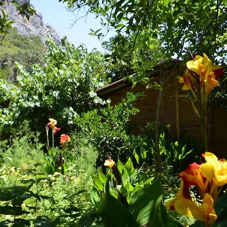 Quarto em Acomodações Particulares Mercan Olympos