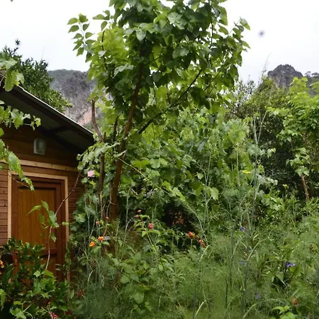 Mercan Quarto em Acomodações Particulares Olympos