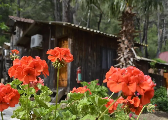 Mercan Ubytování v soukromí *