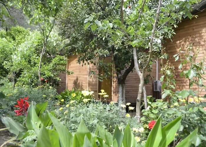 Ubytování v soukromí Mercan