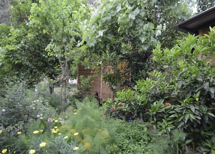 Mercan Ubytování v soukromí