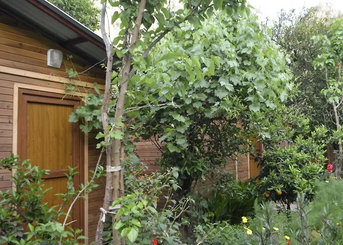 Mercan Ubytování v soukromí Olympos