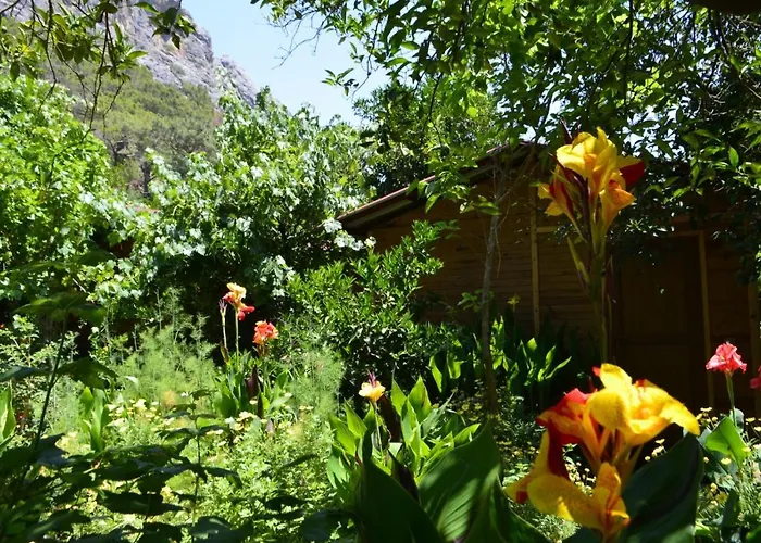 Ubytování v soukromí Mercan Olympos