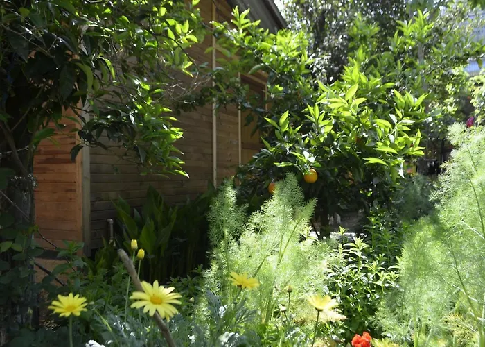 Mercan Ubytování v soukromí Olympos