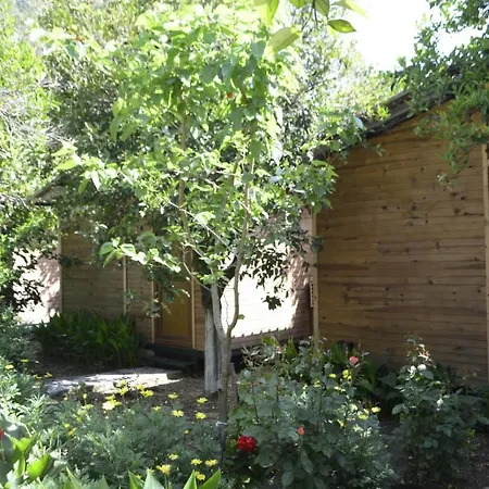 Mercan * Όλυμπος