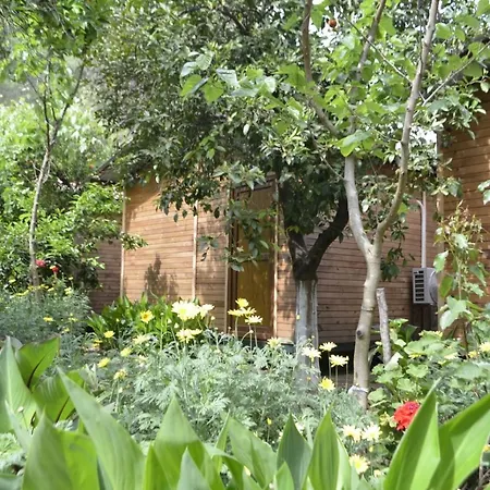 Δωμάτια σε οικογενειακή κατοικία Mercan