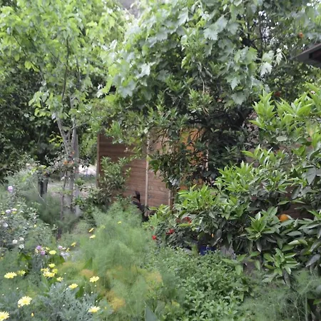 Mercan Δωμάτια σε οικογενειακή κατοικία