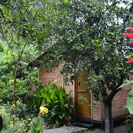 Mercan Όλυμπος